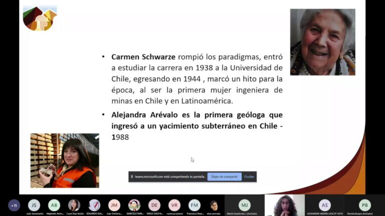Curso de Fundamentos de la Miner&iacute;a en la Universidad de Chile