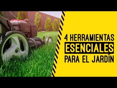 Curso de Orilladora en Chile: Gu&iacute;a Completa para Aprender y Dominar