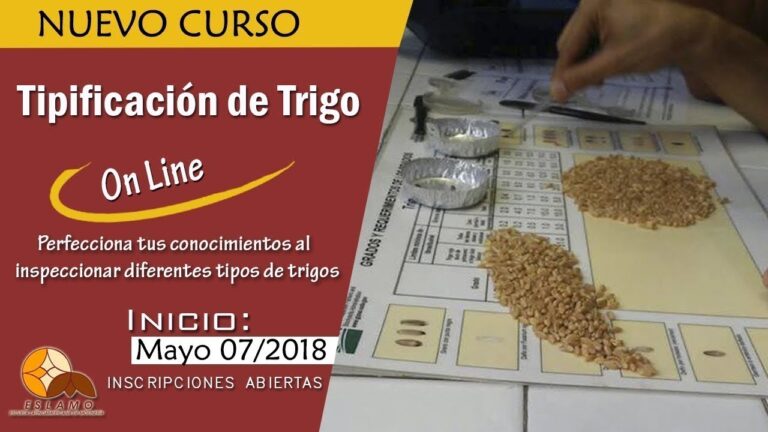 Eslamo: Curso de Moliner&iacute;a en Chile