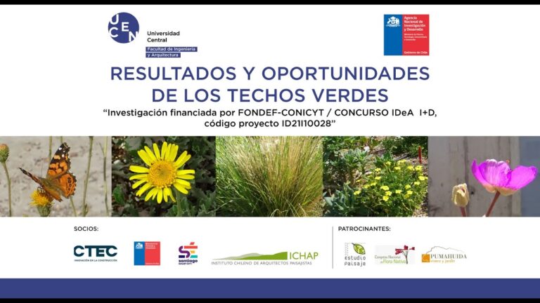 Curso de Techos Verdes en Chile: Innovaci&oacute;n y Sostenibilidad