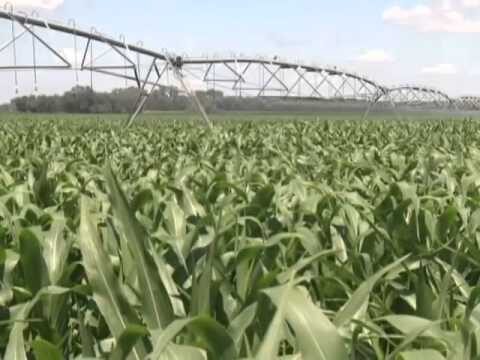 Curso de Agronom&iacute;a de Precisi&oacute;n en Chile