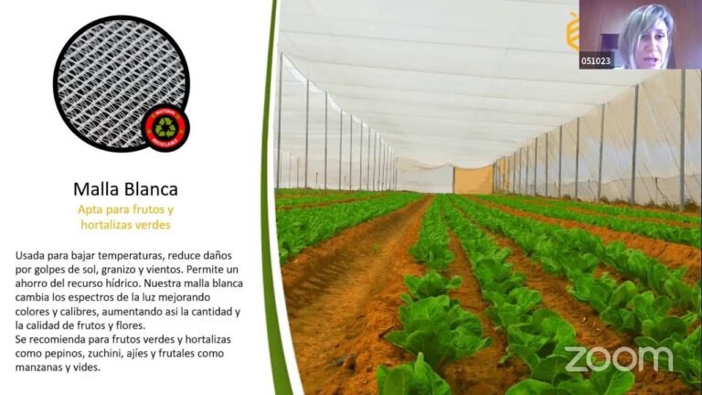 Curso de Acuapon&iacute;a en Chile: Aprendiendo Sostenibilidad y Producci&oacute;n Eficiente
