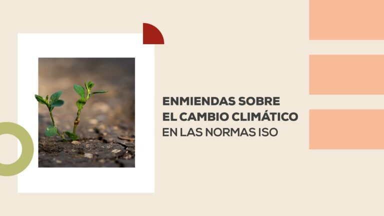 Curso de Auditoría del Instituto de Normalización de Normas en Chile