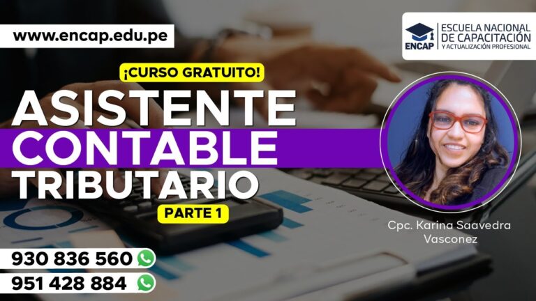 Curso de Asistente Tributario en Chile: Formaci&oacute;n y Oportunidades