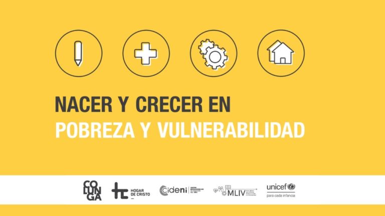 Curso de Vida y Vulnerabilidad en Chile: Un An&aacute;lisis Integral