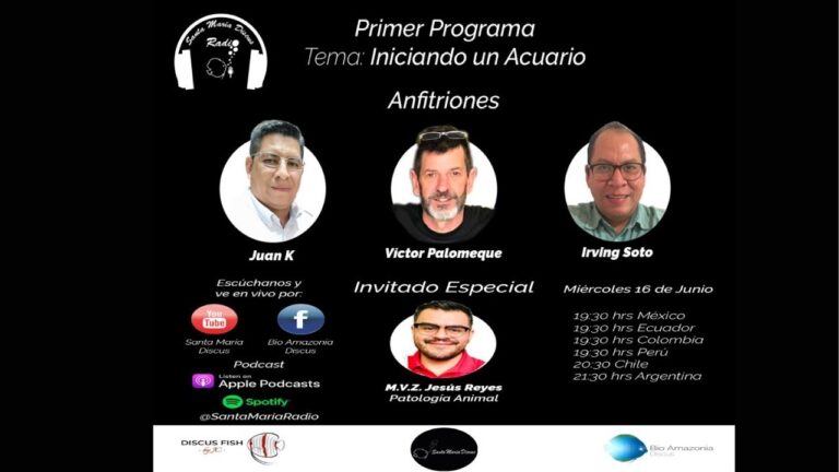 Curso de Patolog&iacute;a en Peces en la U. de Chile