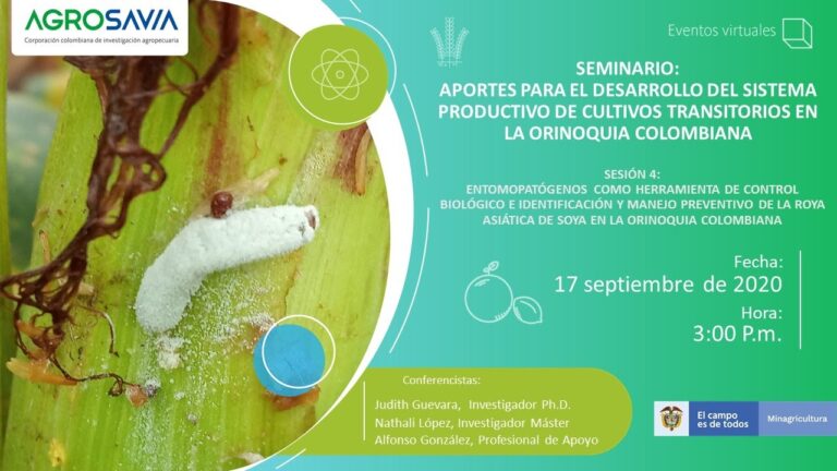 Cursos de Entomopatología en Chile: Formación Especializada para el Control Biológico