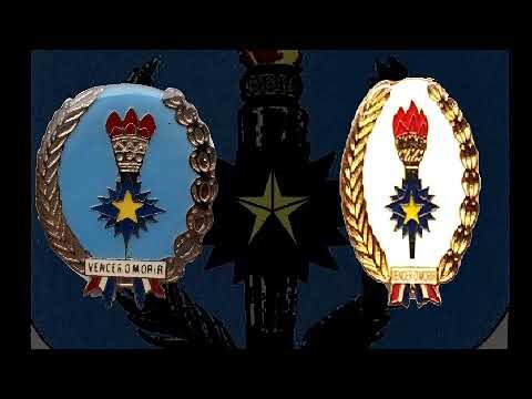 Curso de Inteligencia del Ej&eacute;rcito de Chile: Formaci&oacute;n y Estrategias