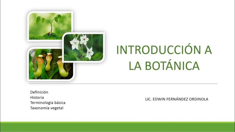 Mejores Cursos de Bot&aacute;nica en Chile