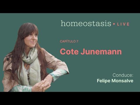 Curso de Canalizaci&oacute;n en Santiago de Chile