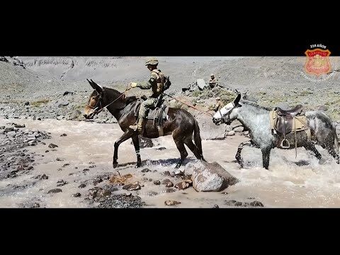 Curso de Conductor de Ganados del Ej&eacute;rcito de Chile: Formaci&oacute;n y Oportunidades