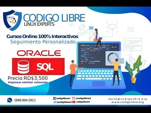 Cursos de DBA Oracle en Chile: Formaci&oacute;n y Oportunidades