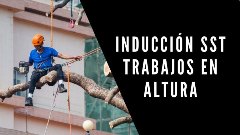 Curso de Inducción a la Minería en Chile: Presentación en PPT