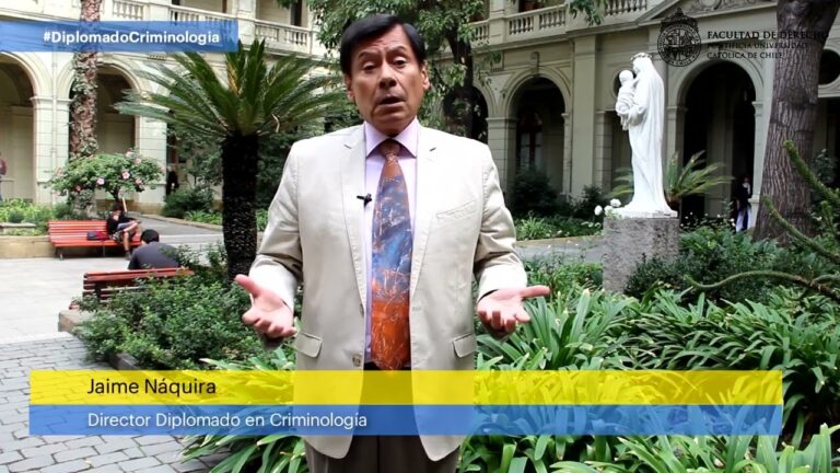 Curso de Criminolog&iacute;a en Chile: Un Enfoque Integral