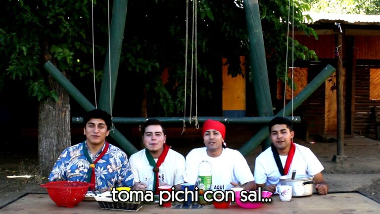 Gu&iacute;a Completa del Curso de Patrulla Scouts en Chile