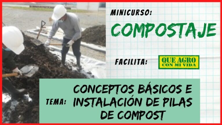Curso de Lombricultura y Compostaje en Chile