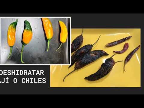 Grados de Cursos en Chile: Guía Completa