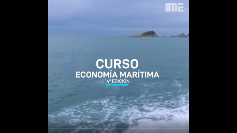 Curso Reconocido por la Armada de Chile: Una Oportunidad &Uacute;nica