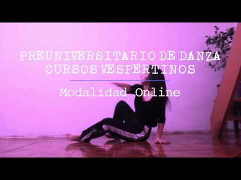 Danza en Verano: Curso Intensivo en la Universidad de Chile