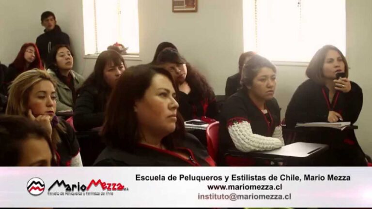 Cursos de Peluquer&iacute;a Debmarip Meza en Santiago de Chile