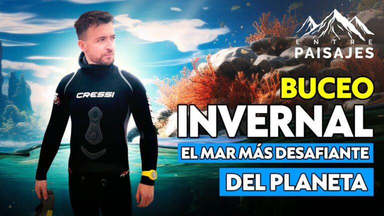 Curso de Buceo en Apnea en Chile: Sum&eacute;rgete en la Aventura