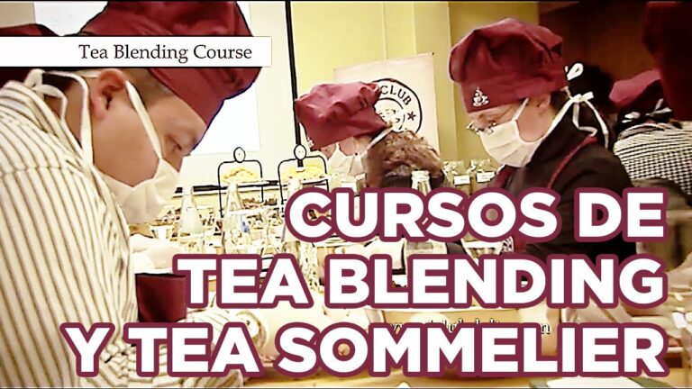 Curso de Sommelier de T&eacute; en Chile: Descubre el Arte del T&eacute;