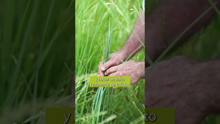 Cursos Semipresenciales de Agricultura en Chile: Oportunidades de Aprendizaje