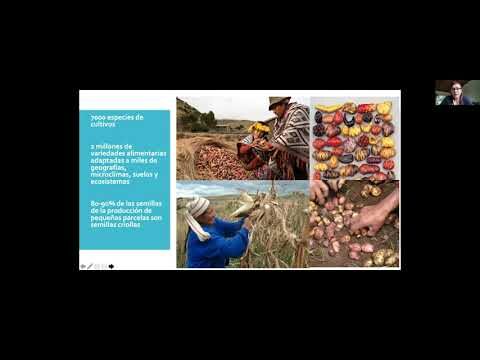 Transformando el Futuro: Curso de Agricultura en Chile
