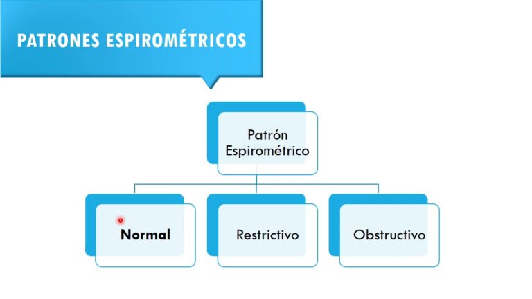 Curso de Espirometr&iacute;a en la Universidad de Chile