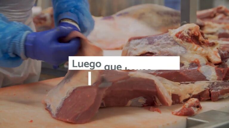 Descubre el Curso de Fileteado en Santiago de Chile