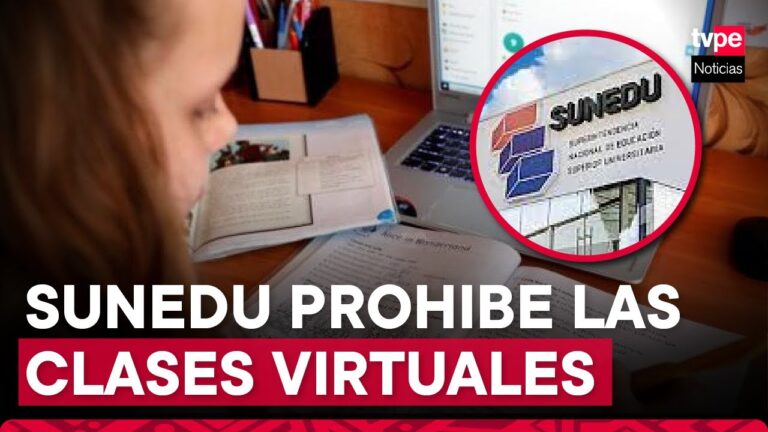 Cursos en L&iacute;nea de la Universidad de Chile: Oportunidades de Aprendizaje