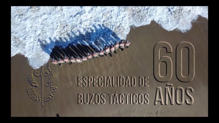 Curso de Buzo Tacino en la Armada de Chile: Formación y Oportunidades