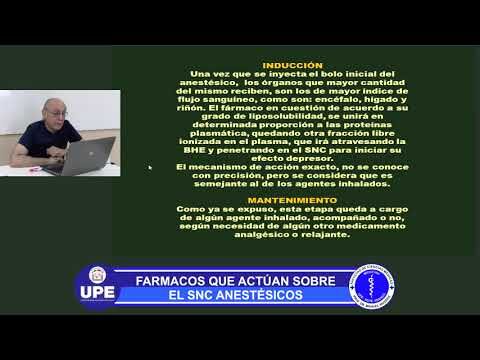 Optimizaci&oacute;n del SNC: Curso Integral en Chile