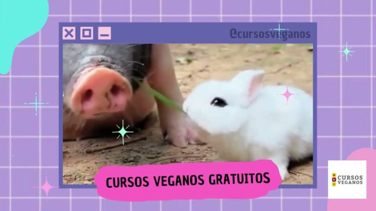 Marzo: Cursos Especializados en Carnes en Chile