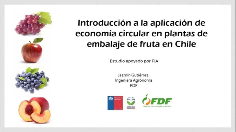 Cursos FDF en Chile: Optimiza tu Aprendizaje