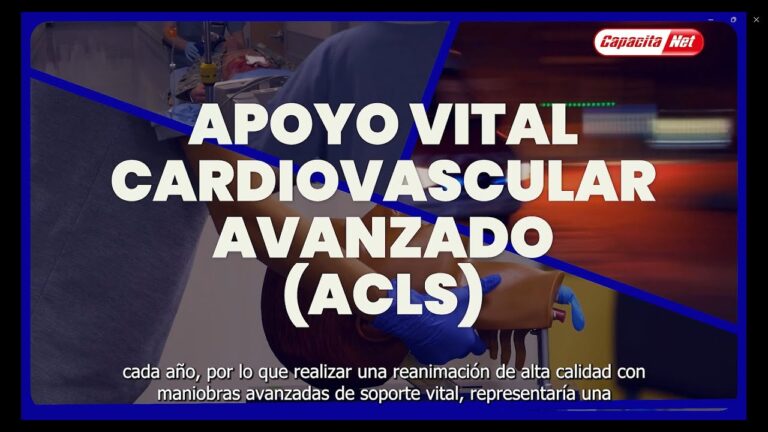 Mejores Cursos de Capacita Net en Chile