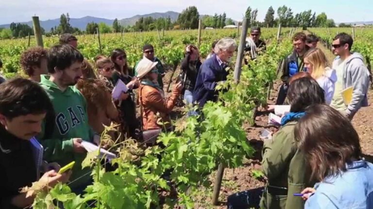 Curso de Comercializaci&oacute;n del Vino en Chile