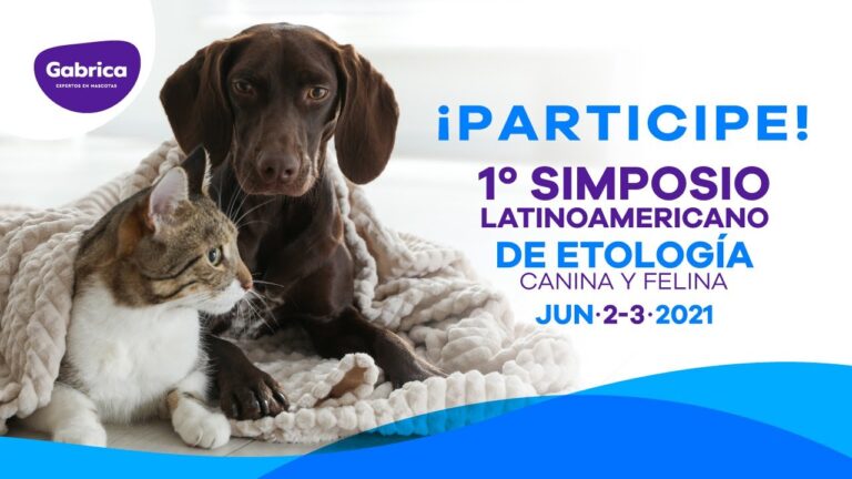Curso de Epilepsia para Veterinarias en Chile