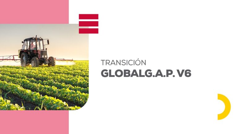 Curso Primus GFS en Chile: Potencia tu Aprendizaje