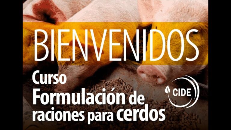 Talleres y Cursos de la FAO en Chile: Oportunidades de Aprendizaje