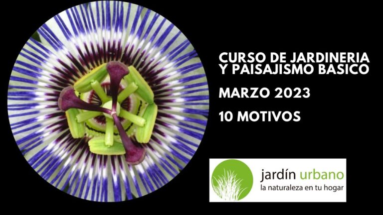Cursos Gratis de Jardiner&iacute;a y Paisajismo en Chile