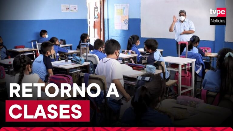 El Curso Escolar en Chile a los 11 A&ntilde;os: Desaf&iacute;os y Oportunidades