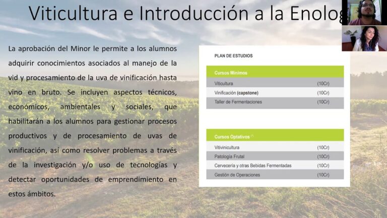 Mejores Cursos de Vitivinicultura en Chile