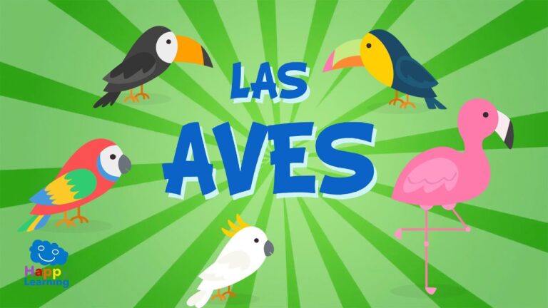 Curso de Aves Marinas y Costeras en Chile