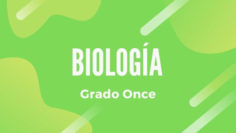 Guía del curso de 11° grado en Chile