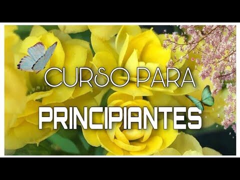 Curso de Jardinería en Chile: Aprende y Crea tu Jardín Soñado