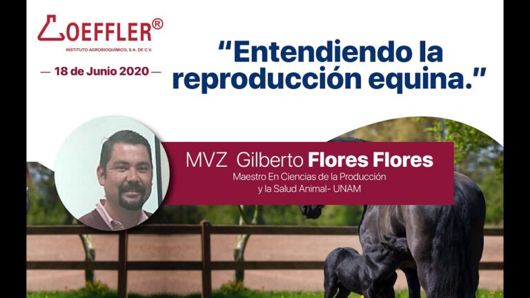 Curso de Equinos en Chile: Formaci&oacute;n y Oportunidades