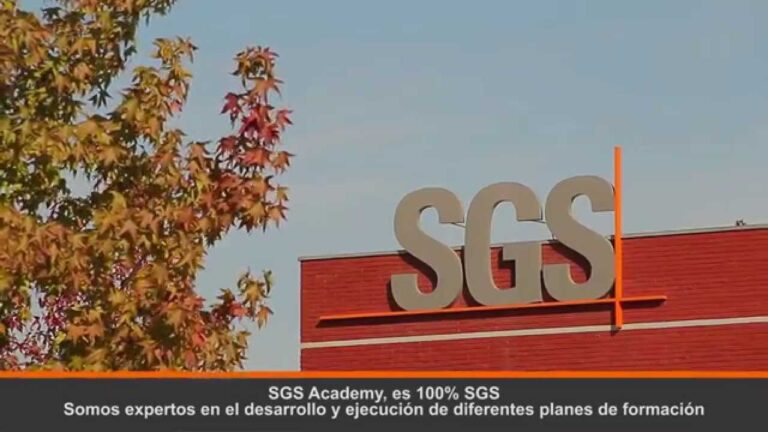 Cursos Validados en Chile: Gu&iacute;a Esencial para Estudiantes