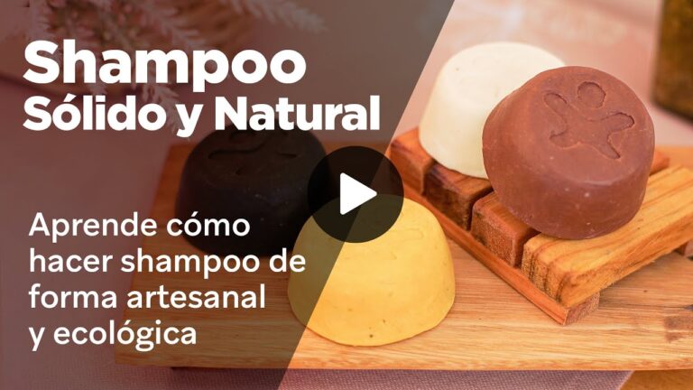 Curso de Shampoo S&oacute;lido en Chile: Aprende y Crea tu Propio Producto