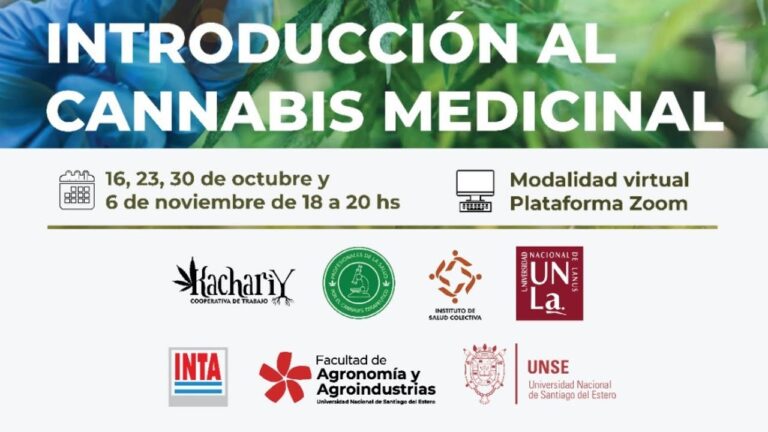 Curso de Plantas Medicinales en Santiago, Chile
